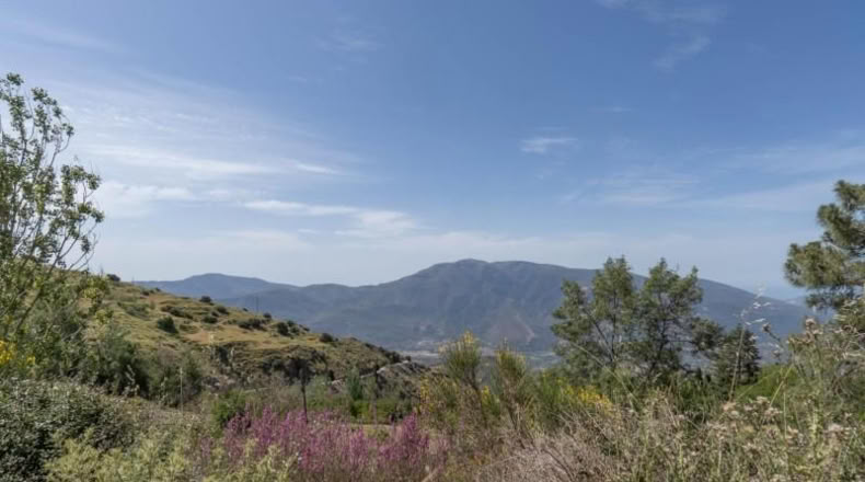 Granada - Carataunas - 3360m2