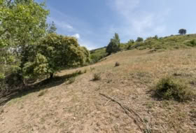 Carataunas 3360&nbsp;m²