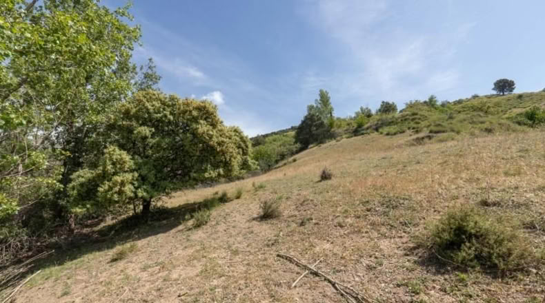 Granada - Carataunas - 3360m2