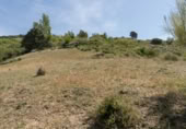 Non-developable land for sale on España, Carataunas, ref: TR319688 photo