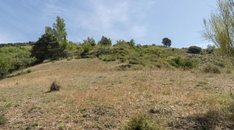 Granada - Carataunas - 3360m2