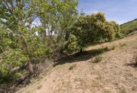 Carataunas 3360&nbsp;m²