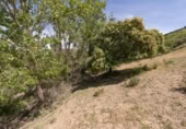 Non-developable land for sale on España, Carataunas, ref: TR319688 photo
