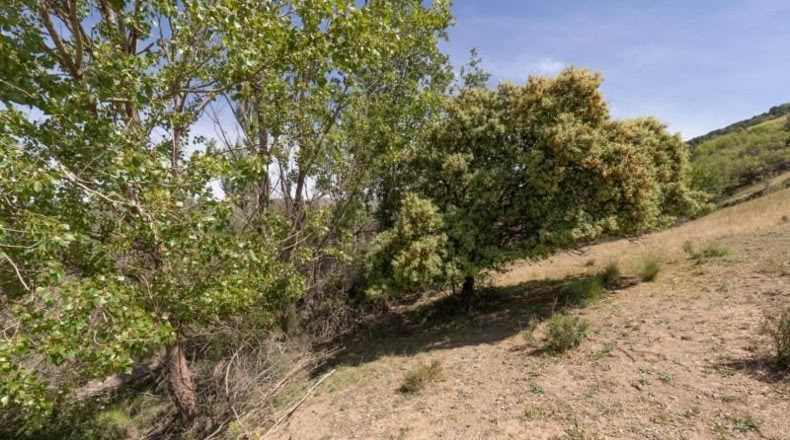 Granada - Carataunas - 3360m2