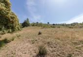 Non-developable land for sale on España, Carataunas, ref: TR319688 photo