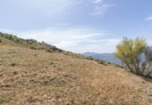 Non-developable land for sale on España, Carataunas, ref: TR319688 photo