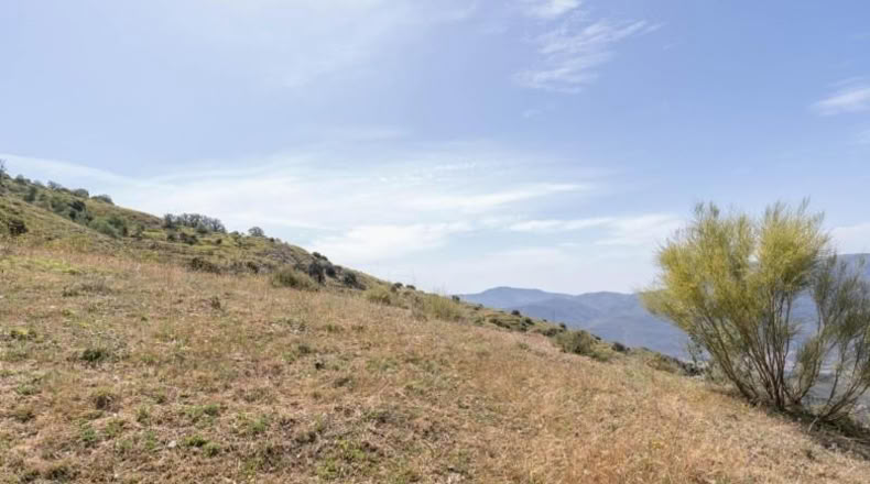 Granada - Carataunas - 3360m2