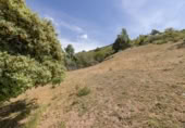 Non-developable land for sale on España, Carataunas, ref: TR319688 photo