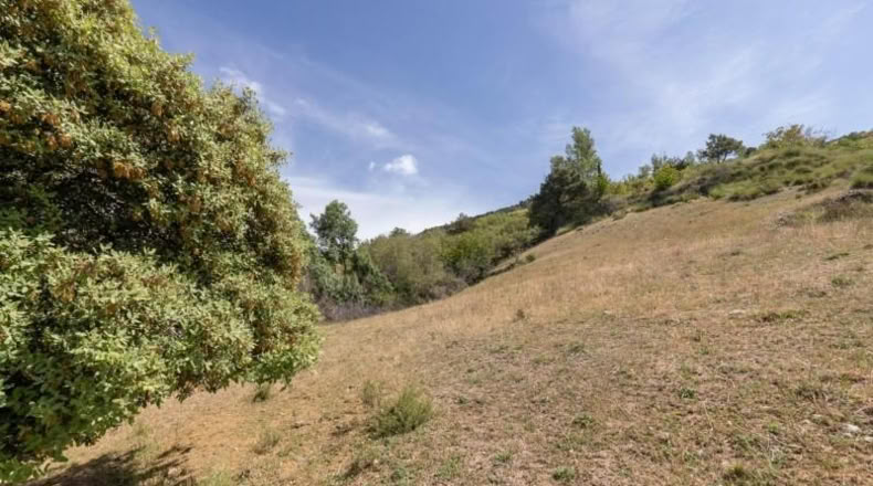 Granada - Carataunas - 3360m2