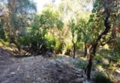 Non-developable land for sale on España, Acequias, ref: TR131452 photo