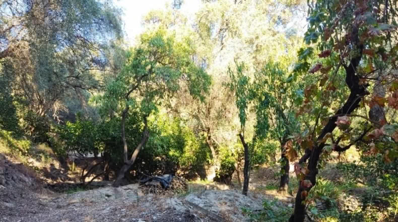 Granada - Acequias - 2000m2