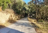 Non-developable land for sale on España, Acequias, ref: TR131452 photo