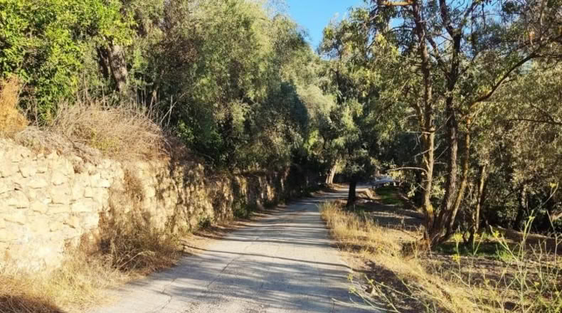 Granada - Acequias - 2000m2