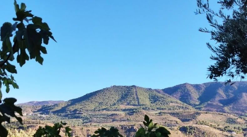 Granada - Acequias - 2000m2