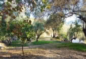 Non-developable land for sale on España, Acequias, ref: TR131452 photo