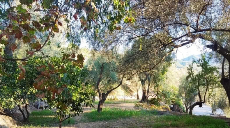 Granada - Acequias - 2000m2