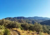 Non-developable land for sale on España, Acequias, ref: TR131452 photo