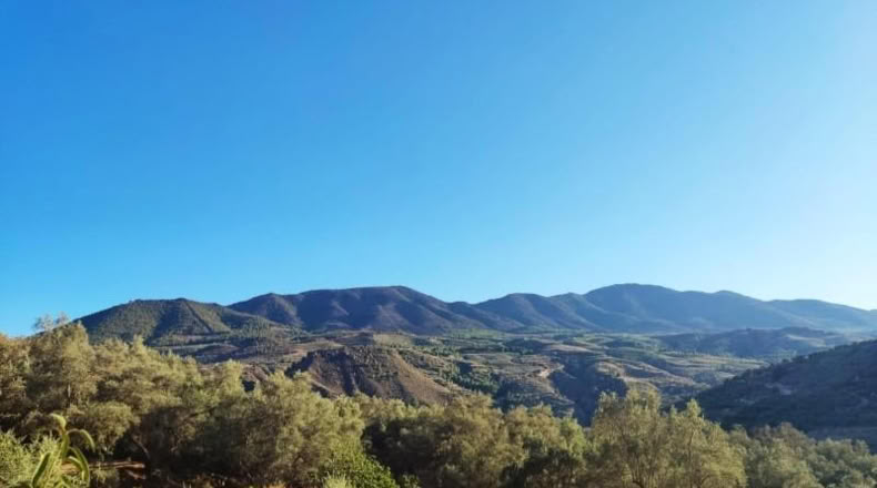 Granada - Acequias - 2000m2