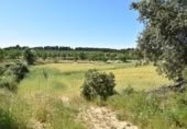 Chalet independiente con terreno en venta en la España, Cretas, ref: TR337426 foto