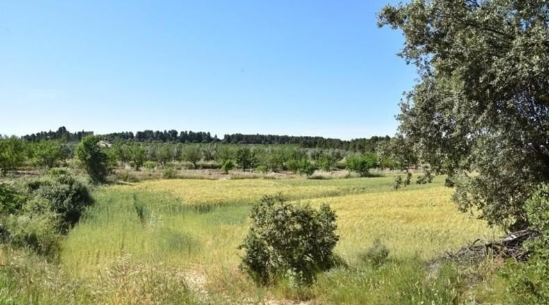Teruel - Cretas - 13952m2