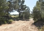 Chalet independiente con terreno en venta en la España, Cretas, ref: TR337426 foto