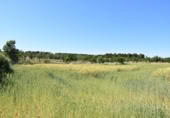 Chalet independiente con terreno en venta en la España, Cretas, ref: TR337426 foto