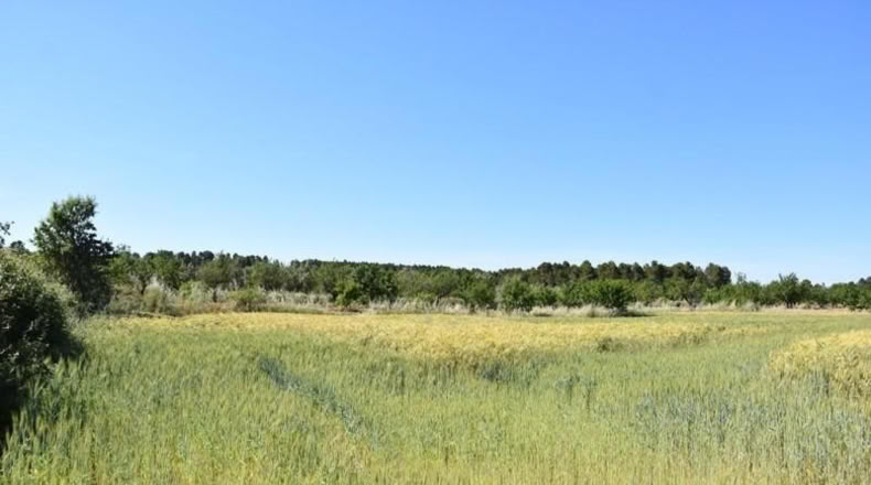 Teruel - Cretas - 13952m2