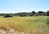 Chalet independiente con terreno en venta en la España, Cretas, ref: TR337426 foto