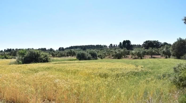 Teruel - Cretas - 13952m2