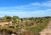 Terreno no urbanizable en venta en la España, Puçol, ref: TR118984 foto