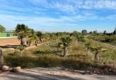 Terreno no urbanizable en venta en la España, Puçol, ref: TR118984 foto
