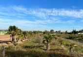 Terreno no urbanizable en venta en la España, Puçol, ref: TR118984 foto
