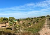 Terreno no urbanizable en venta en la España, Puçol, ref: TR118984 foto