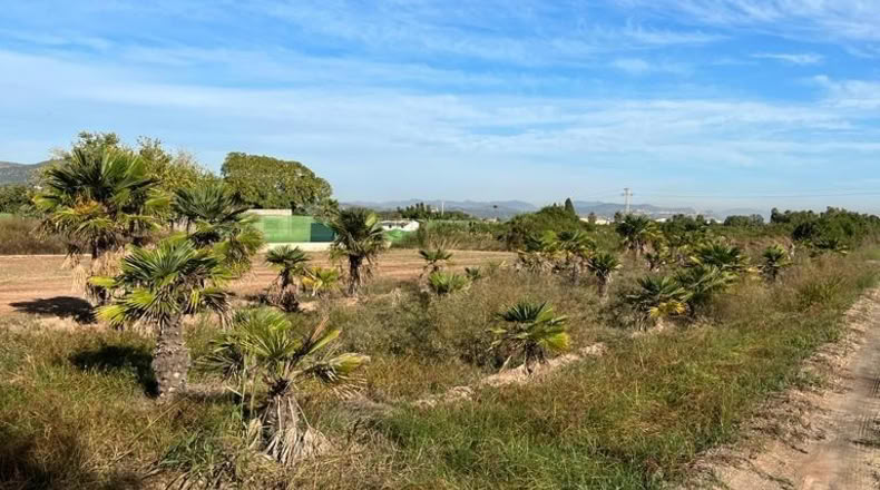 València - Puzol - 786m2