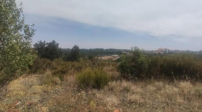 Leon - Garrafe de Torío - 1281m2