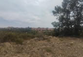 Parcela urbanizable en venta en la España, Garrafe de Torío, ref: TR124213 foto
