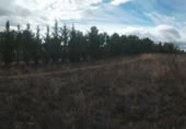 Non-developable land for sale on España, Calatayud, ref: TR350795 photo