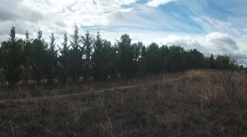 Zaragoza - Calatayud - 8810m2