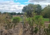 Non-developable land for sale on España, Calatayud, ref: TR350795 photo