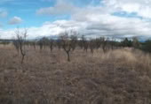 Non-developable land for sale on España, Calatayud, ref: TR350795 photo