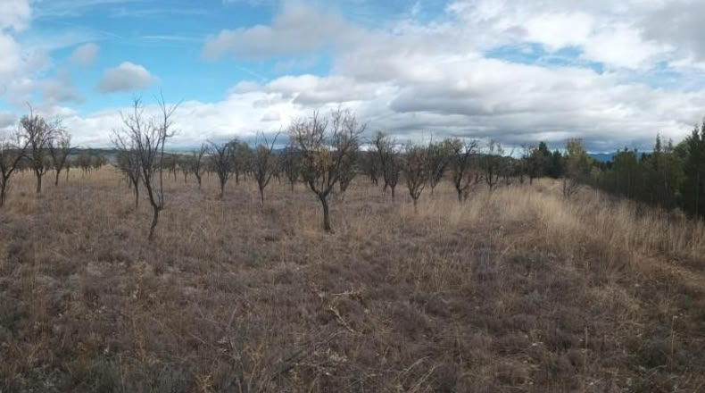 Zaragoza - Calatayud - 8810m2