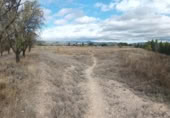 Non-developable land for sale on España, Calatayud, ref: TR350795 photo