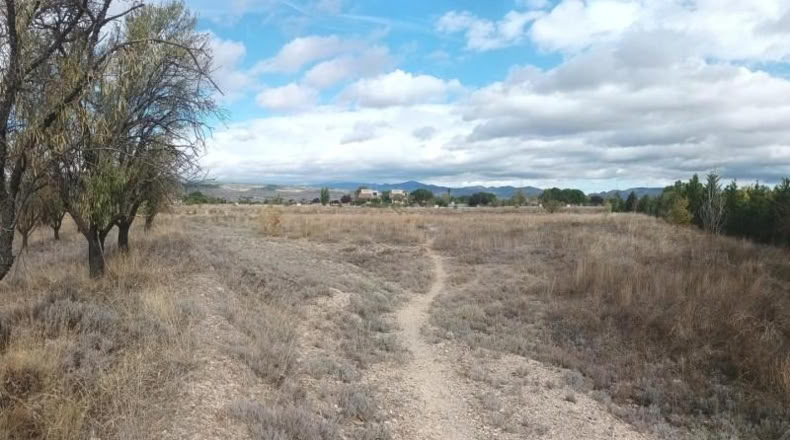 Zaragoza - Calatayud - 8810m2