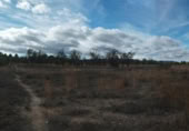 Non-developable land for sale on España, Calatayud, ref: TR350795 photo