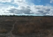 Non-developable land for sale on España, Calatayud, ref: TR350795 photo