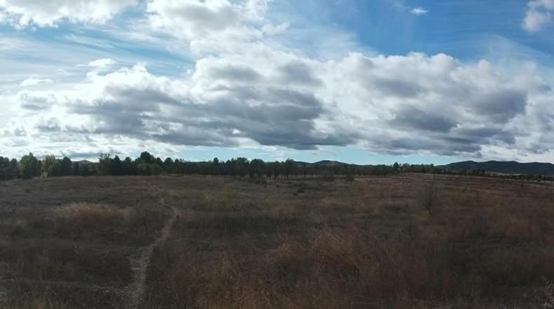 Zaragoza - Calatayud - 8810m2