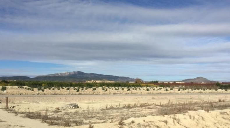 Múrcia - Villanueva del Río Segura - 2236m2
