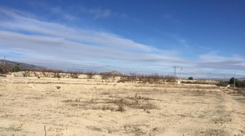 Múrcia - Villanueva del Río Segura - 2236m2
