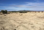 Non-developable land for sale on España, Villanueva del Río Segura, ref: TR119607 photo