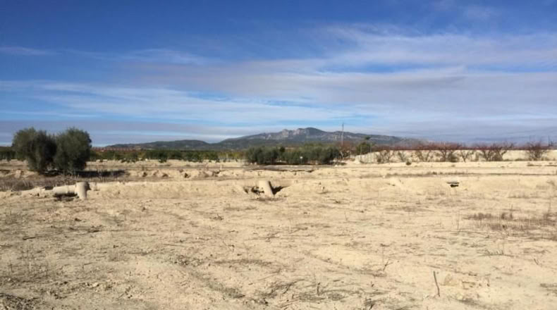 Múrcia - Villanueva del Río Segura - 2236m2